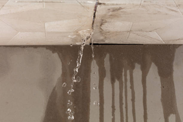 Professional Structural Drying technician working in Woodstock, NH